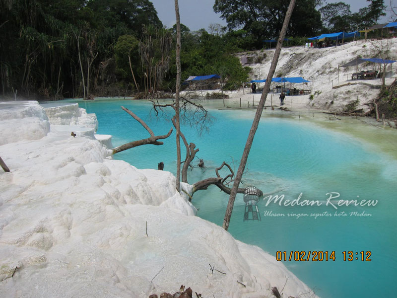 Pemandangan tanaman yang mengering akibat panas belerang dari kawah putih 2