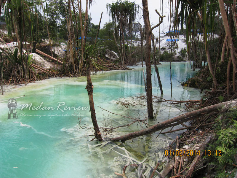 Pemandangan tanaman yang mengering akibat panas belerang dari kawah putih