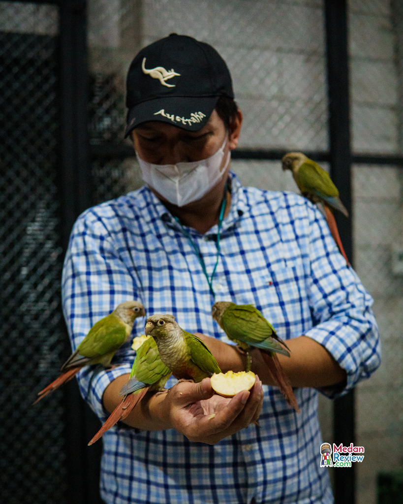 Animal Xperience Vol.2 Delipark Mall Menghadirkan Aviary Pertama Dalam Pusat Perbelanjaan